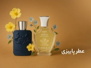 3217b4ebf42efa318e9151d86053a4e2cb886703_1762341942