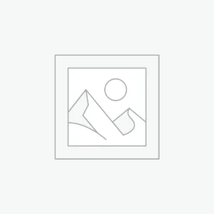 Marshall Kilburn Portable Wireless Speaker